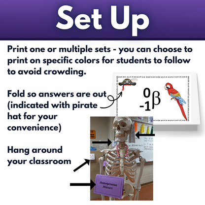 Nuclear Chemistry Unit Review Chem Quest Gallery Walk Matching Activity