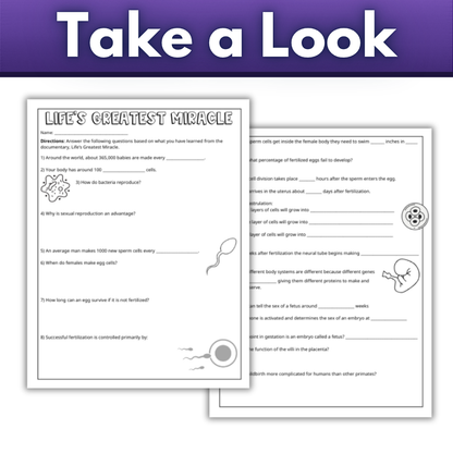 PBS NOVA Life's Greatest Miracle Question Worksheet, Editable, Digital and Print