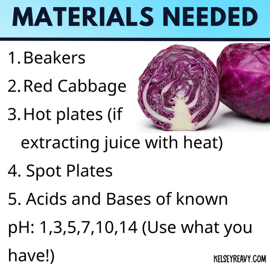 Red Cabbage Acid Base Indicator Lab Activity High School Chemistry