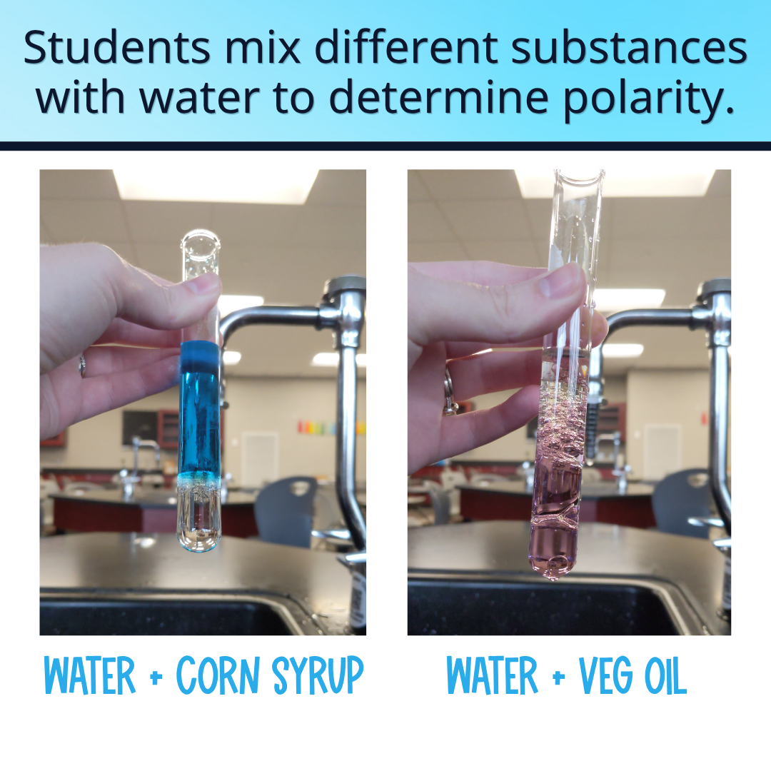 Like Dissolves Like Lab Activity Intermolecular Forces EDITABLE Solubility Lab
