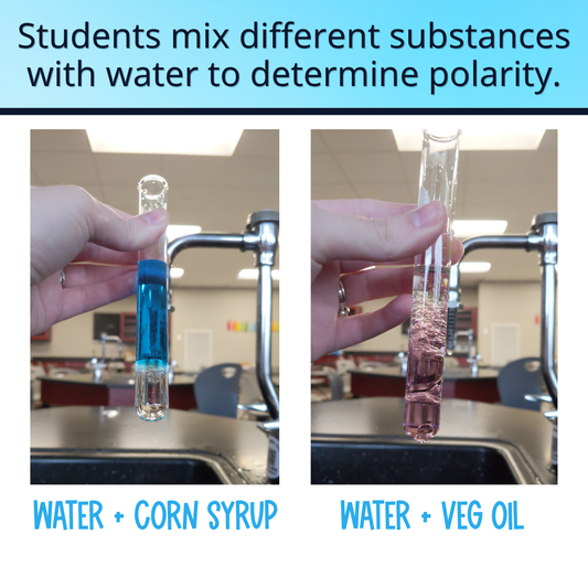 Like Dissolves Like Lab Activity Intermolecular Forces EDITABLE Solubility Lab